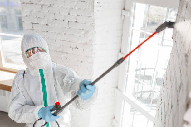 Best Real Estate Mold Inspection  in Calvert City, KY
