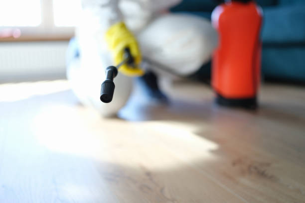 Best Mold Damage Restoration  in Calvert City, KY