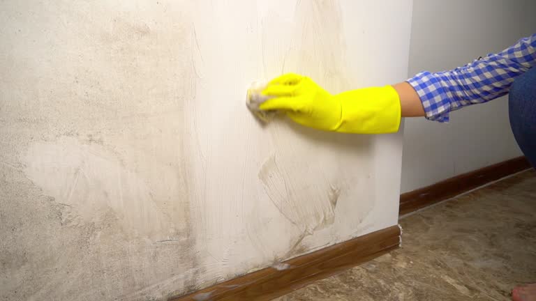 Best Indoor Air Quality Assessment  in Calvert City, KY