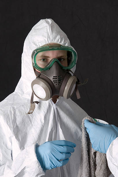 Best Crawl Space Mold Remediation  in Calvert City, KY